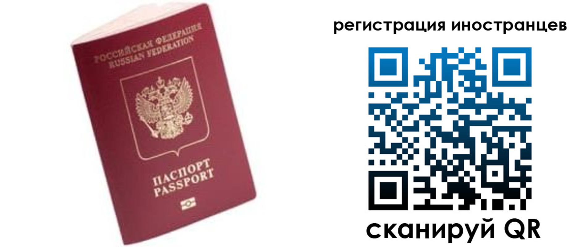 прописка гарантия в Каргате